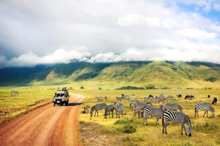 Intrepid Group Tours: The Ultimate Guide to Responsible Adventure Travel