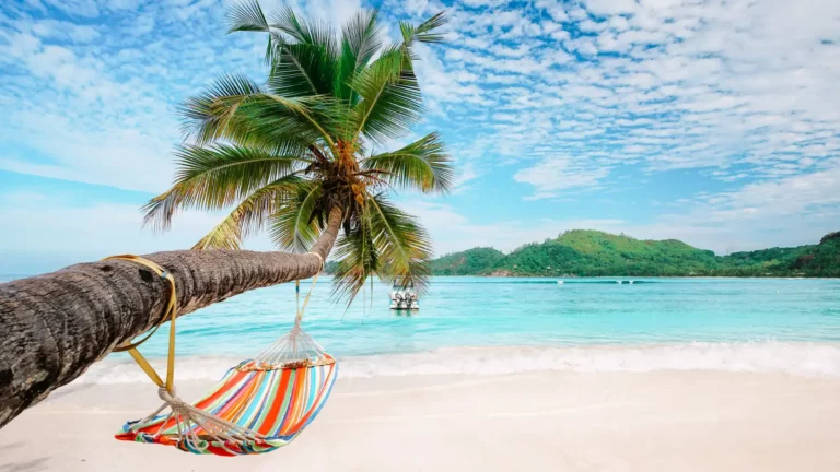 Ritz Yacht Cruise: A Luxury Yachting Experience Redefined