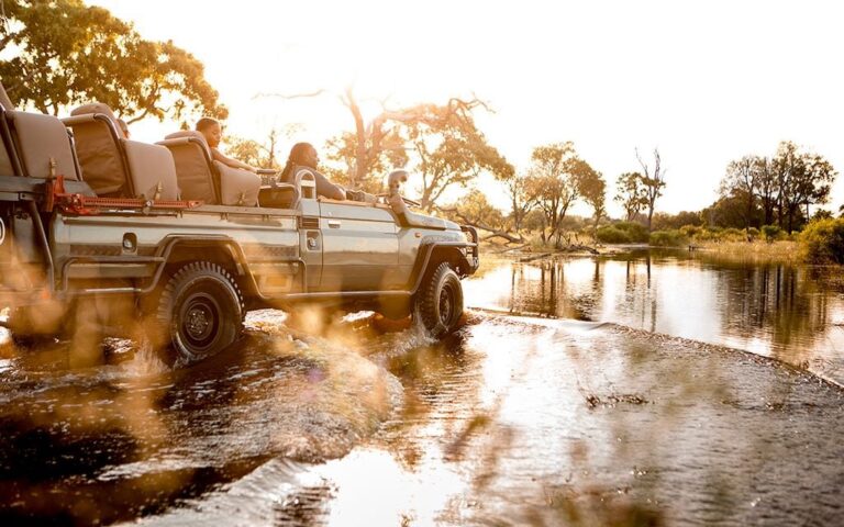 Best Luxury African Safaris: Ultimate Guide to High-End Safari Experiences in Africa
